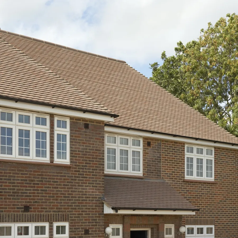 Orangery Leyton