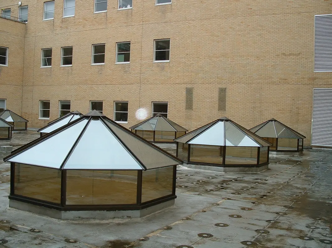 Flat Roof Skylights Leyton